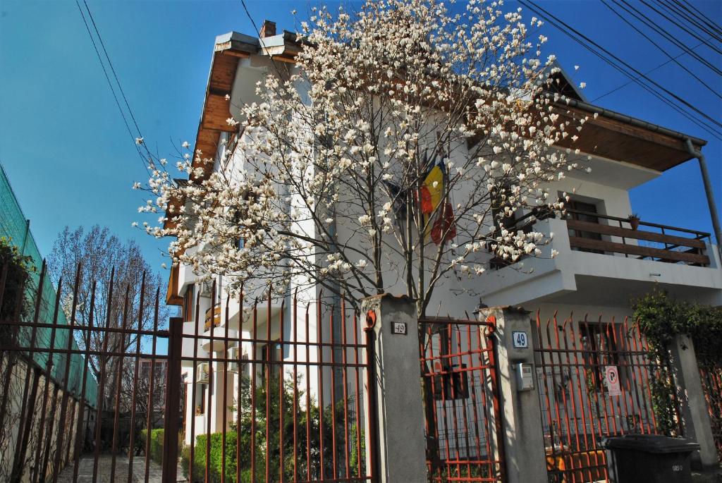 un albero con fiori bianchi di fronte a una casa di Pension La Noblesse a Bucarest