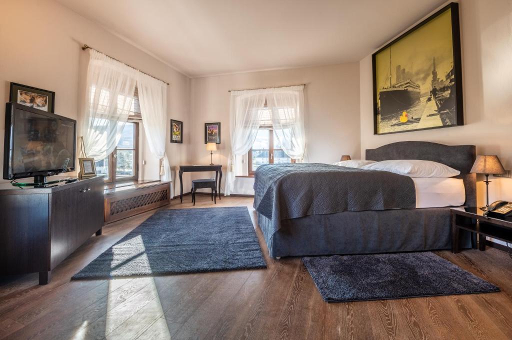 TV a/nebo společenská místnost v ubytování Chateau Appony