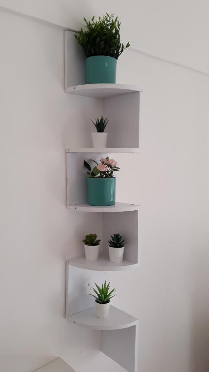 a wall with white shelves with potted plants on them at Emidio House in Termini