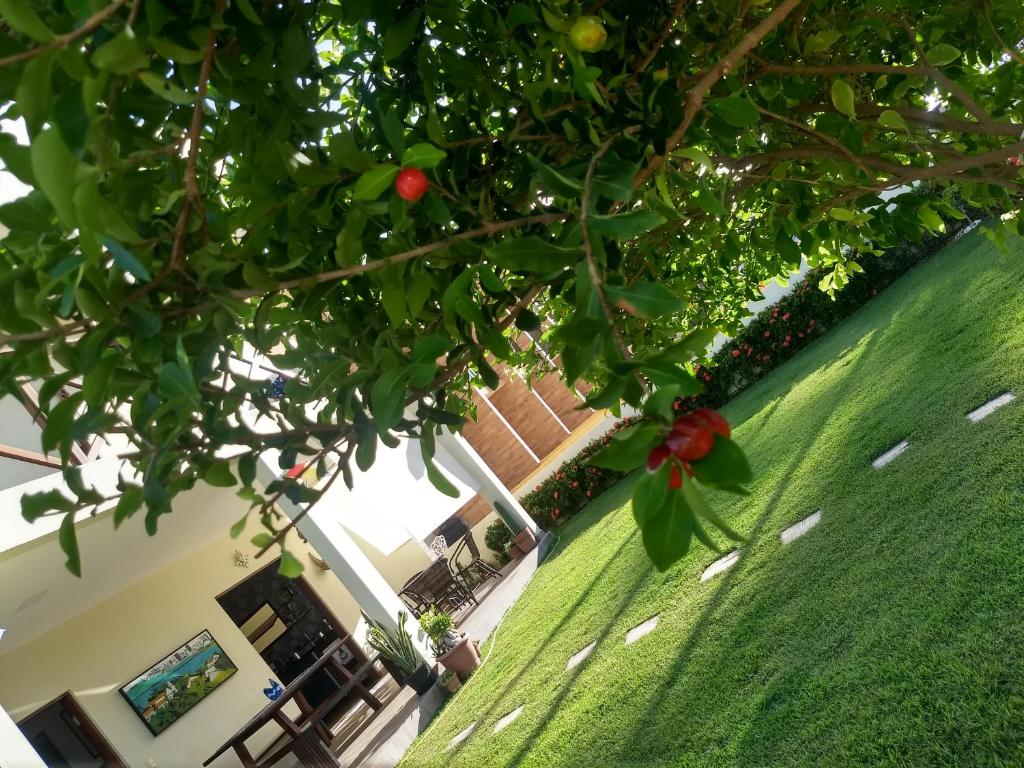  Vila de Todos os Santos