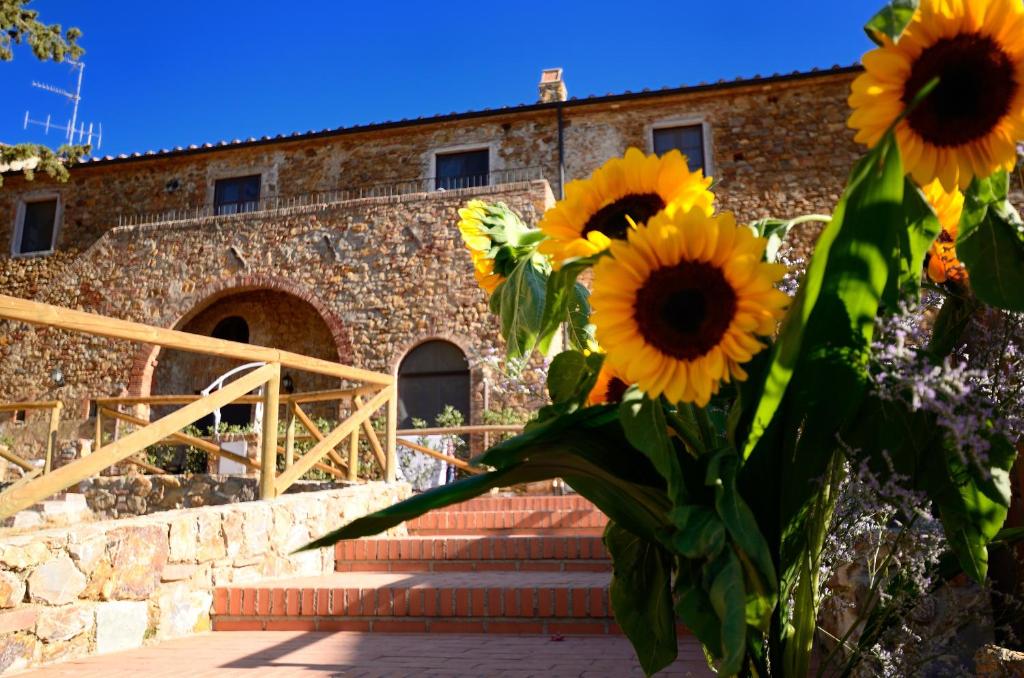 un ramo de girasoles frente a un edificio en Antico Borgo Casalappi, en Campiglia Marittima