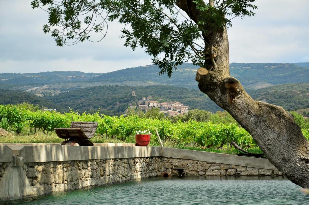una piscina de agua con un árbol y un banco en Château La Villatade en Sallèles-Cabardès