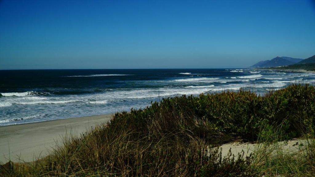 a beach with a view of the ocean at AFIFE "Porta da Alegria" in Viana do Castelo