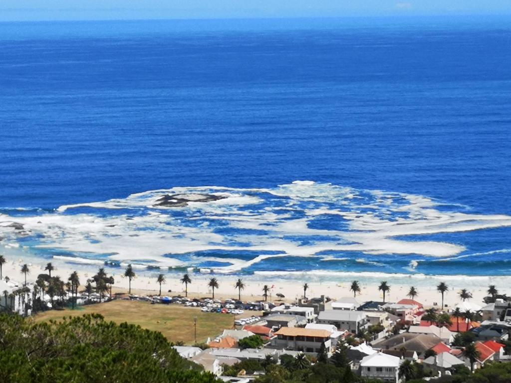 an aerial view of a beach with palm trees and the ocean at Diamond House Guesthouse in Cape Town