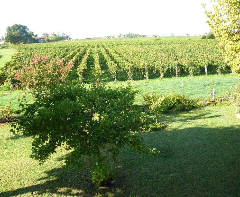 Le Clos des Rosiers - 7