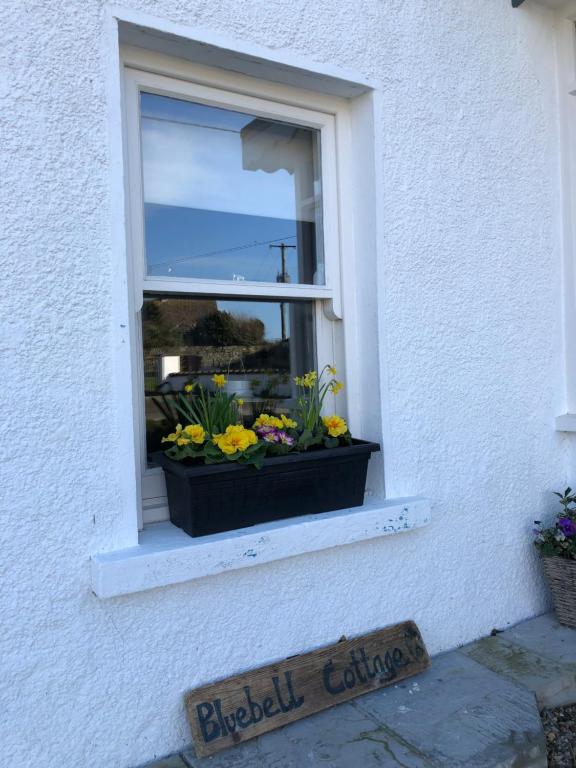 Fotografie z fotogalerie ubytování Bluebell Cottage v destinaci Kilmore Quay