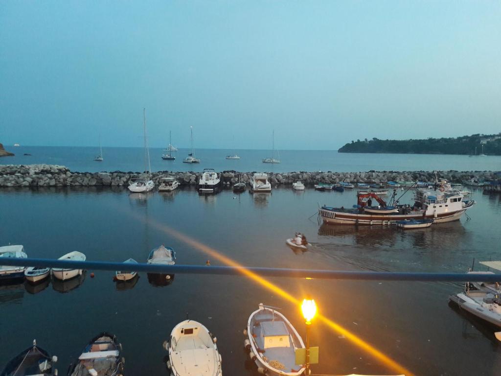 a group of boats docked in a harbor at La Casa di Titina in Procida