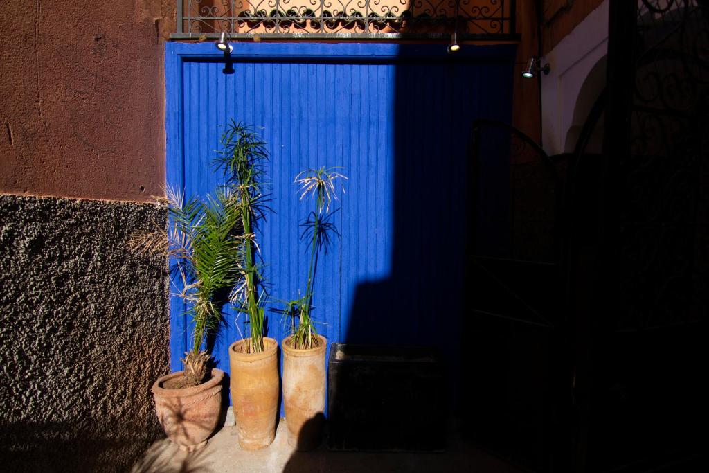 Kuvagallerian kuva majoituspaikasta riad mimoune, joka sijaitsee Marrakechissa