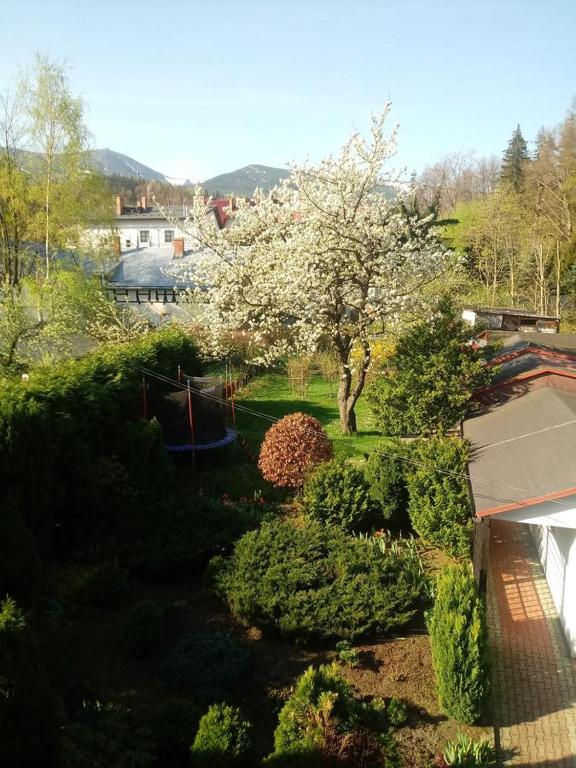 Príroda v okolí apartmánu