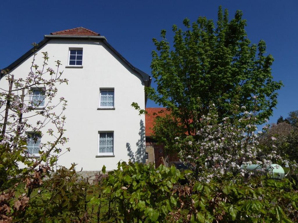 a white house with a tree in front of it at Huis bij Willingen in Eimelrod