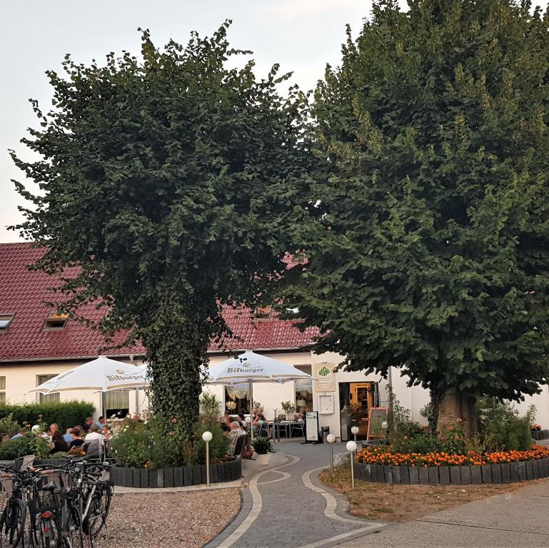 dos árboles frente a un edificio con mesas y sillas en Lindenhof Liepgarten - Pension & Gaststätte, en Ueckermünde