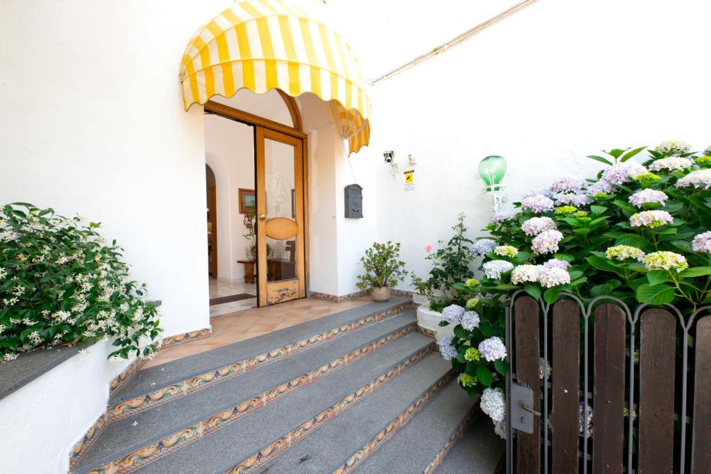 Zahrada ubytování Hotel Candia