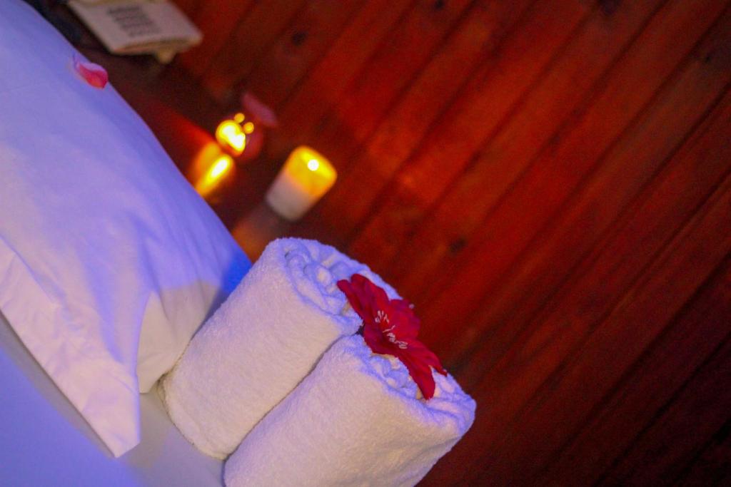 Afbeelding uit fotogalerij van New Hotel Aquiline in Arusha