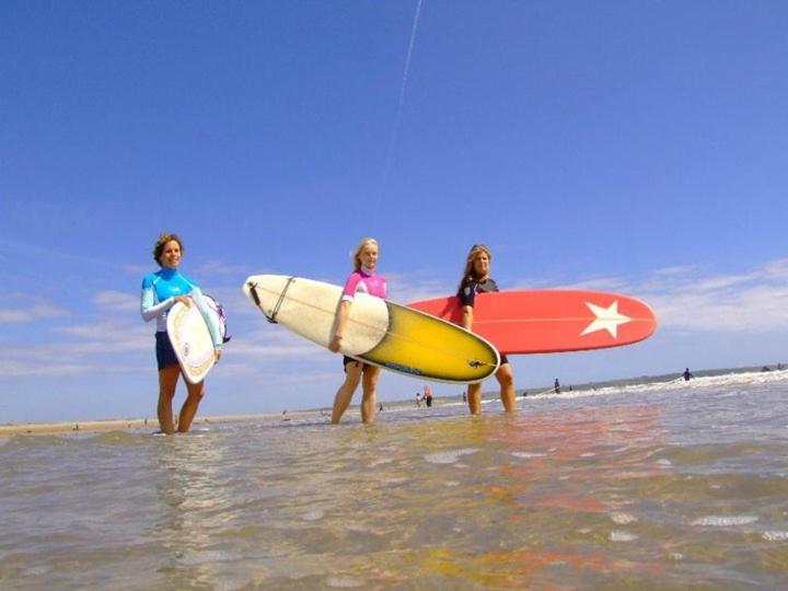 Majutusasutuse Beach Haven Apartments külastajad