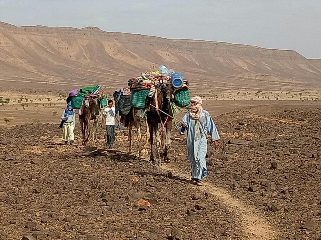 Hosté ubytování Sahara Peace