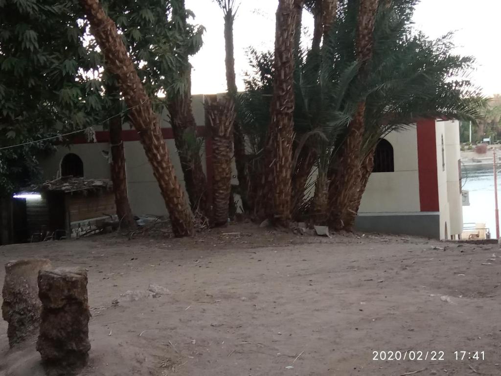 ABAZIDO Nubian Guest House - 15