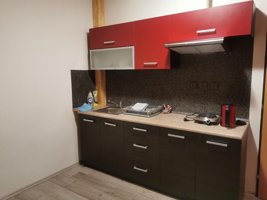 Kuchnia lub aneks kuchenny w obiekcie Apartmán U Brabců