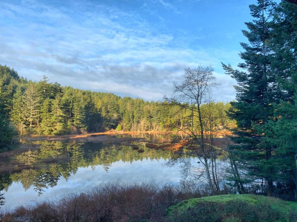 a lake in the middle of a forest at Otter's Pond Bed and Breakfast in Eastsound