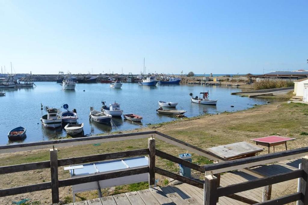 a group of boats docked in a harbor at casa Trieste in Scoglitti