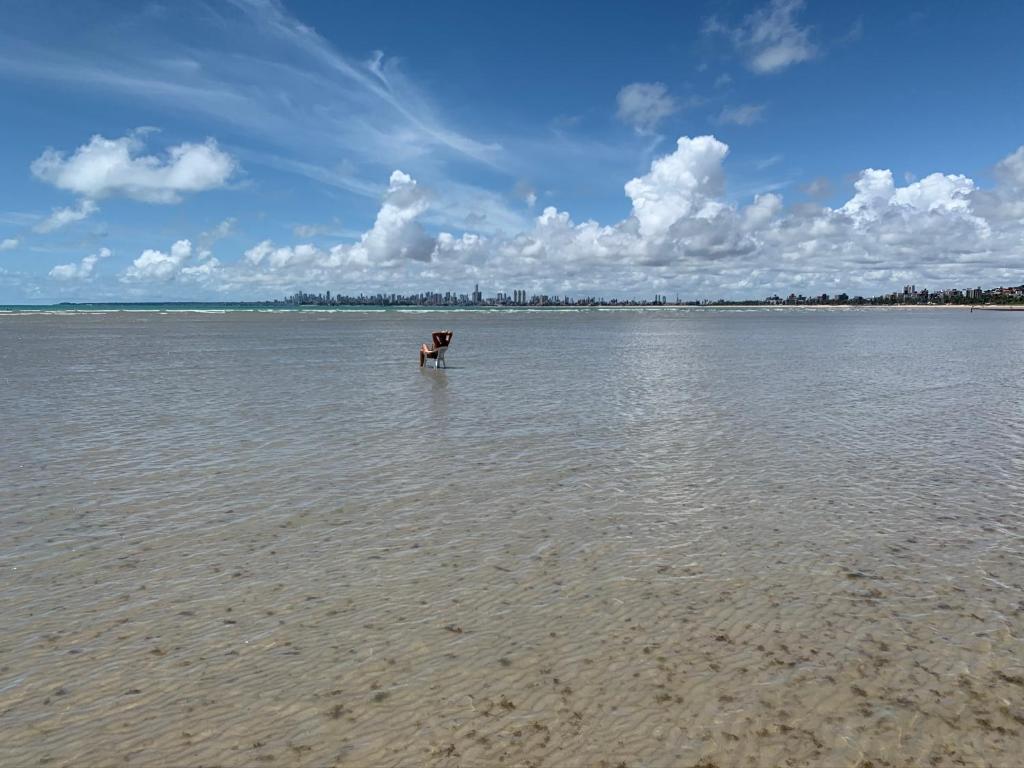  Ponta de Campina Beach Apartment