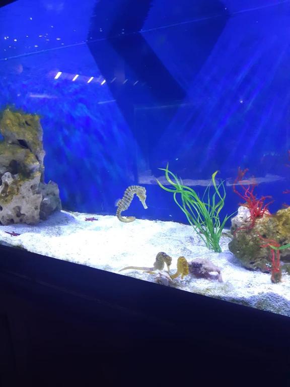  Casa temporada Finais de Semana e Feriados