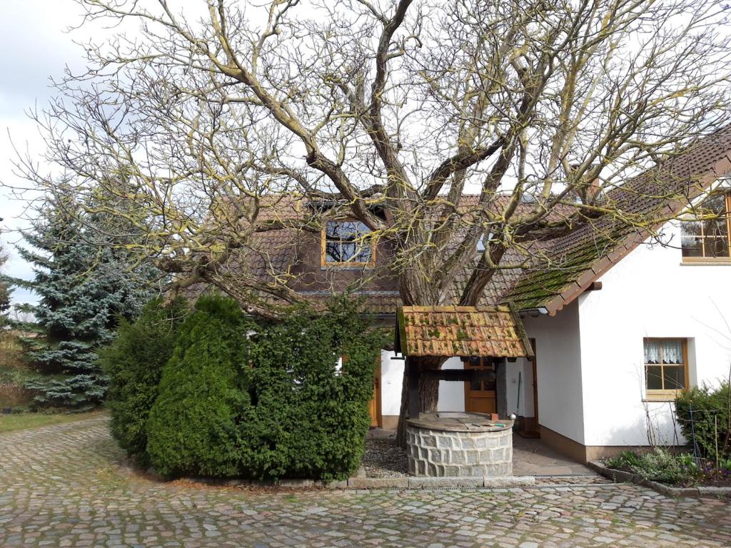 una casa con un árbol delante de ella en Ein Bett im Kornfeld - Haus Weitblick - mit Innenpool en Schönfeld