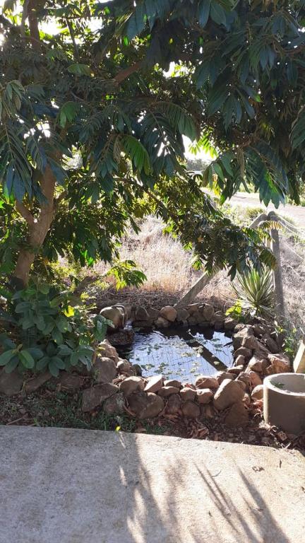 Lar do Aconchego Gramado  Lar do Aconchego Gramado