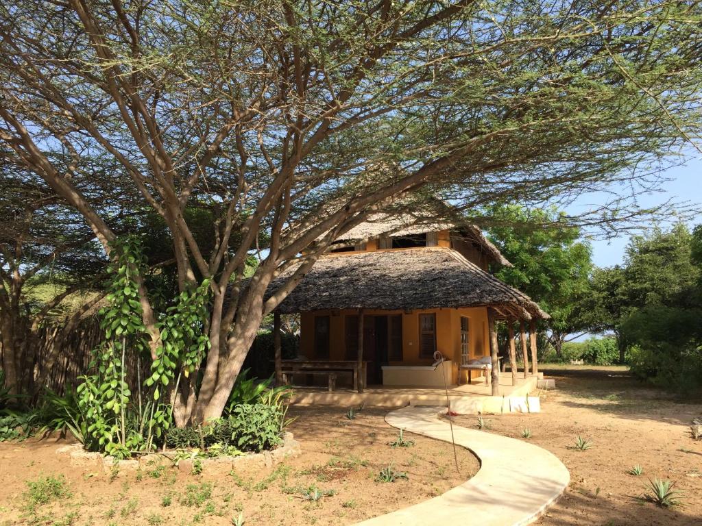 a house with a tree and a path leading to it at Mangrove House in Lamu