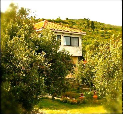 dom siedzący na szczycie wzgórza z drzewami w obiekcie Kyra's Paradise w mieście Potistika