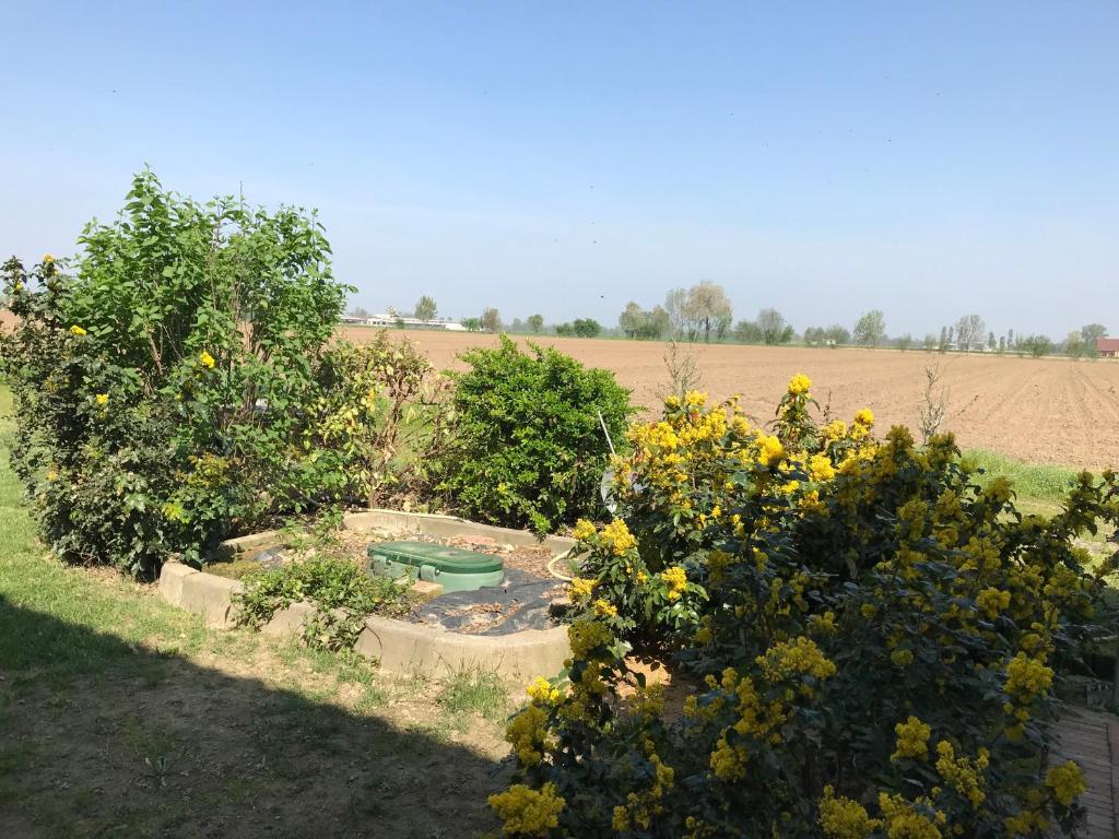 A garden outside Cascina Garaita