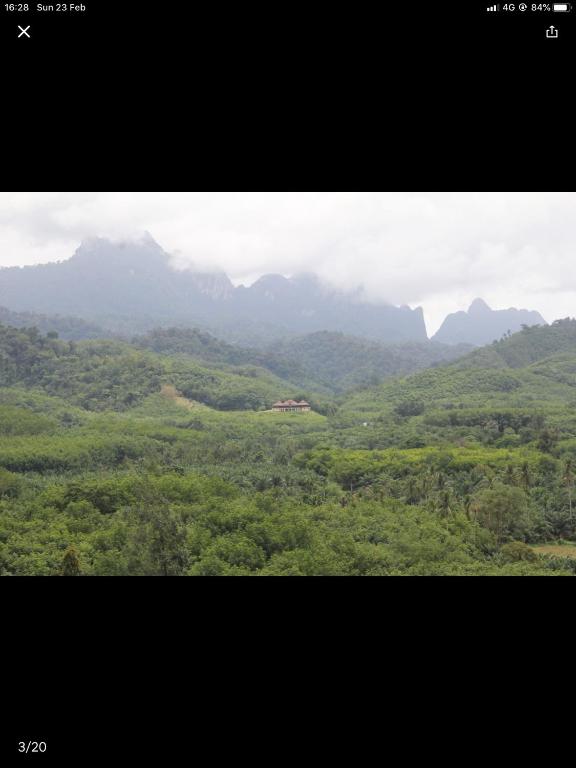 Billion Views Khaosok Homestay - 15