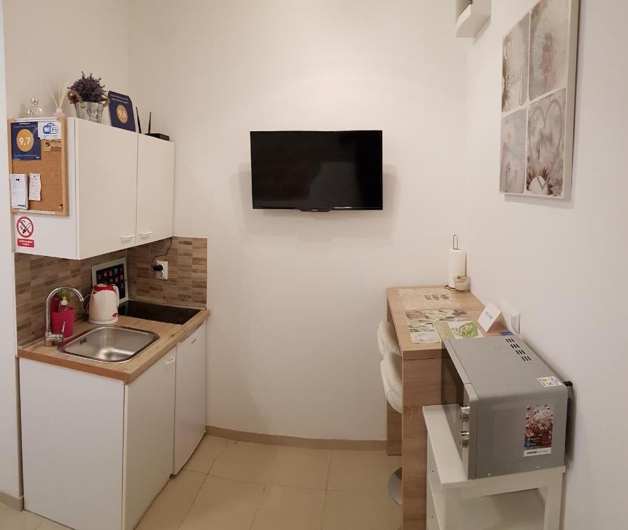 Kuchyňa alebo kuchynka v ubytovaní Studio Apartment Legcevic