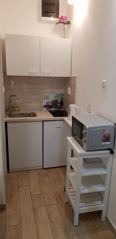 Kuchyňa alebo kuchynka v ubytovaní Studio Apartment Legcevic