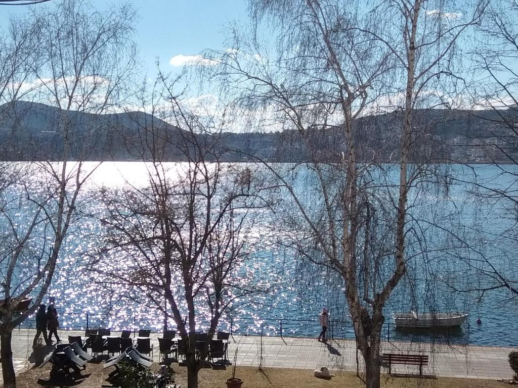 een uitzicht op een waterlichaam met bomen ervoor bij CK Lake View in Kastoria