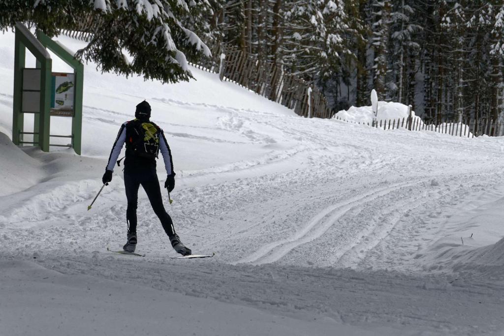 a man is skiing down a snow covered slope at Chalet Les Camélias SPA in Gérardmer