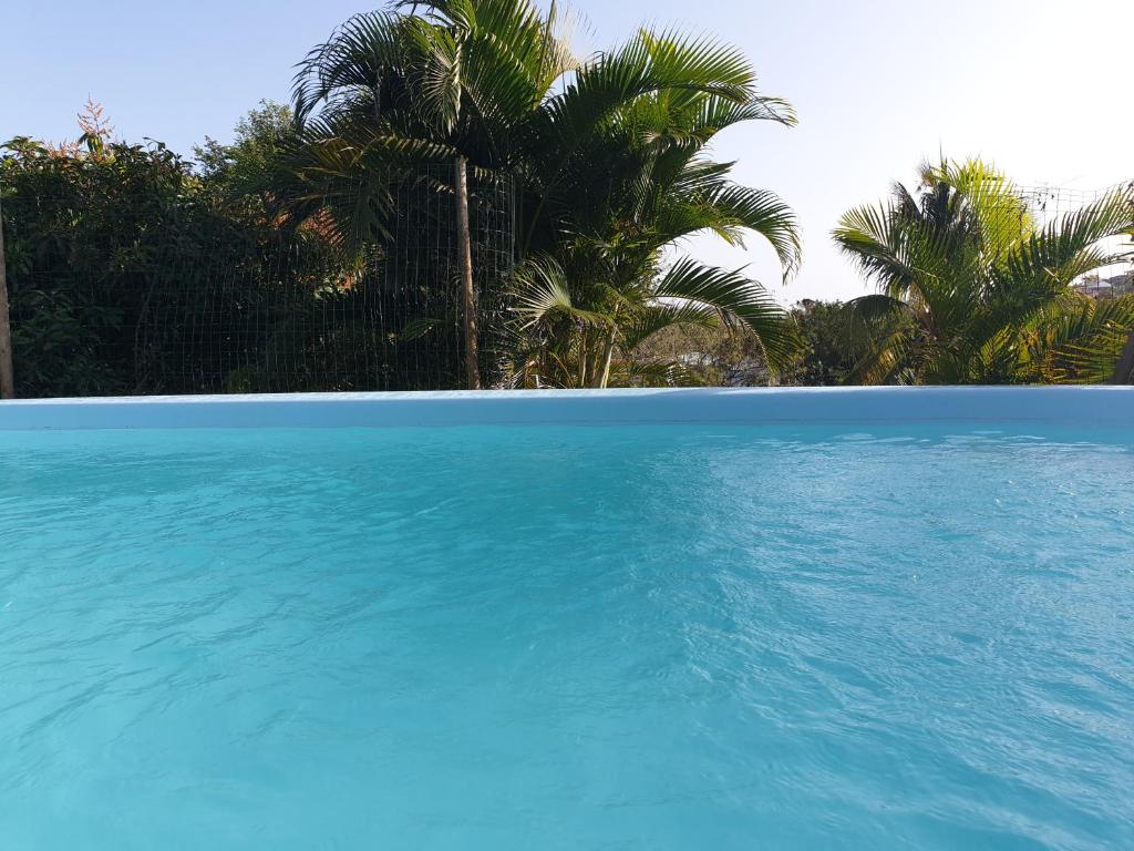 a pool of blue water with palm trees in the background at Le Goyav' appart avec piscine et jacuzzi au Vauclin in Le Vauclin