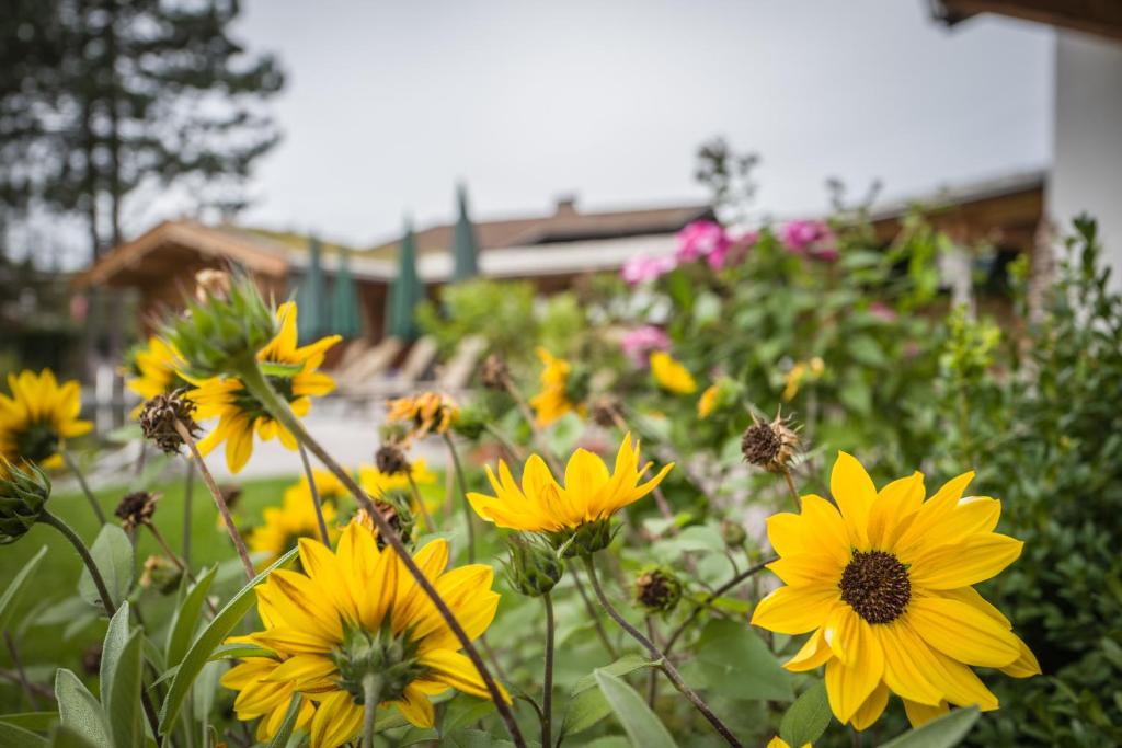 Zahrada ubytování Flora - Das kleine Gartenhotel