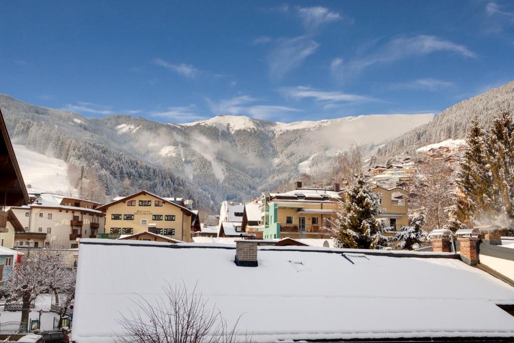 Hotel Grüner Baum - 10