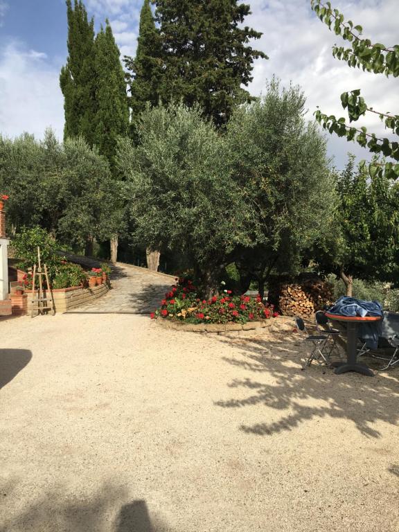 un parque con una mesa y algunas flores y árboles en Casa Romano, en Manciano