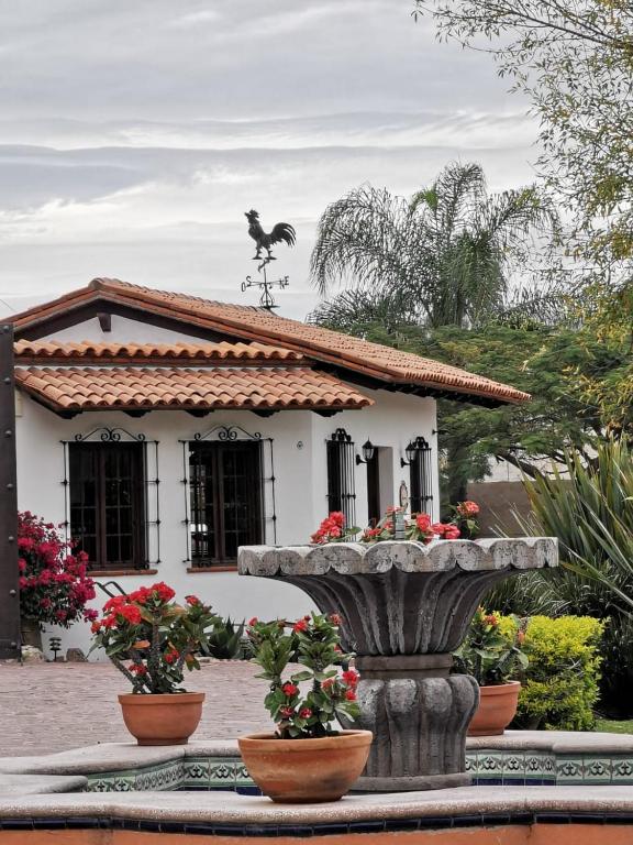 Zahrada ubytování Hacienda La Moreda Hotel Boutique & Spa