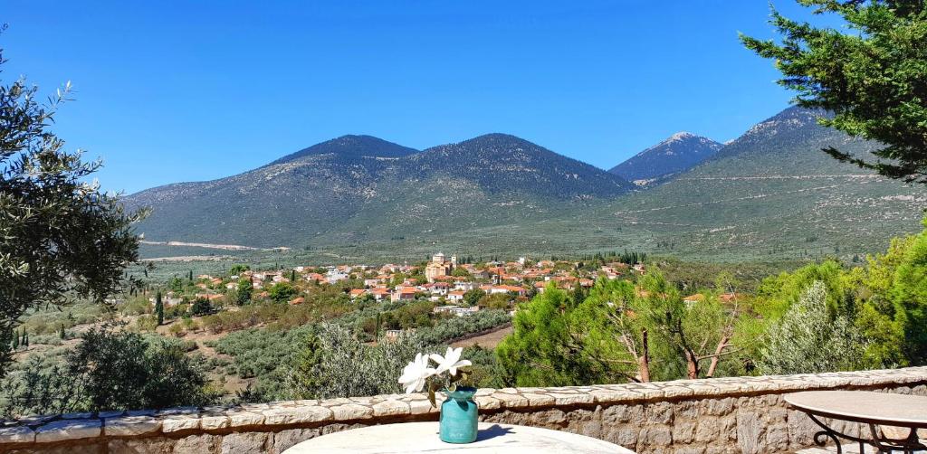 a vase with a flower on a table with mountains at Private Villa with Panoramic View in Ayía Evthimía