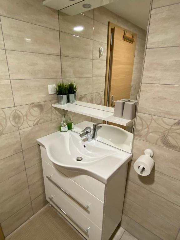 Koupelna v ubytování Apartma Vidovič
