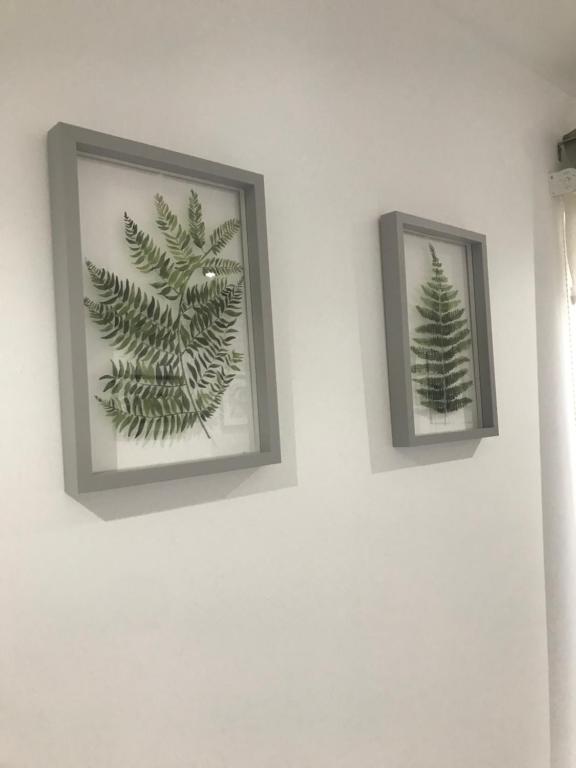 Fotografie z fotogalerie ubytování Alma Villa v destinaci Falkirk