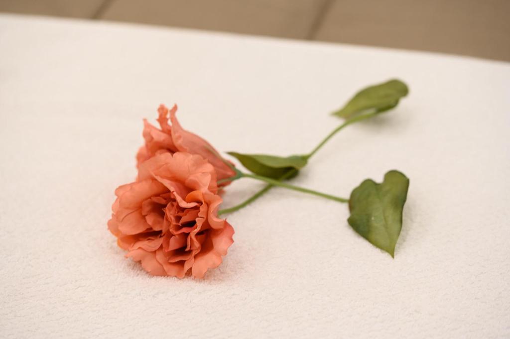 Luxury Apartment Salerno Center - 6