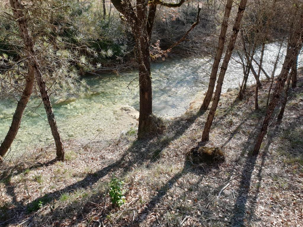 A garden outside Masia l`Arà