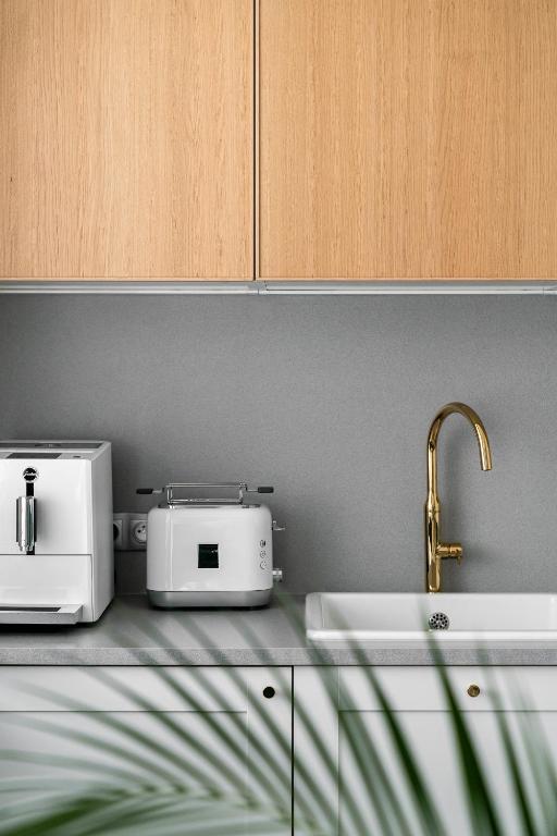 Kuchyňa alebo kuchynka v ubytovaní Apartament Ap175