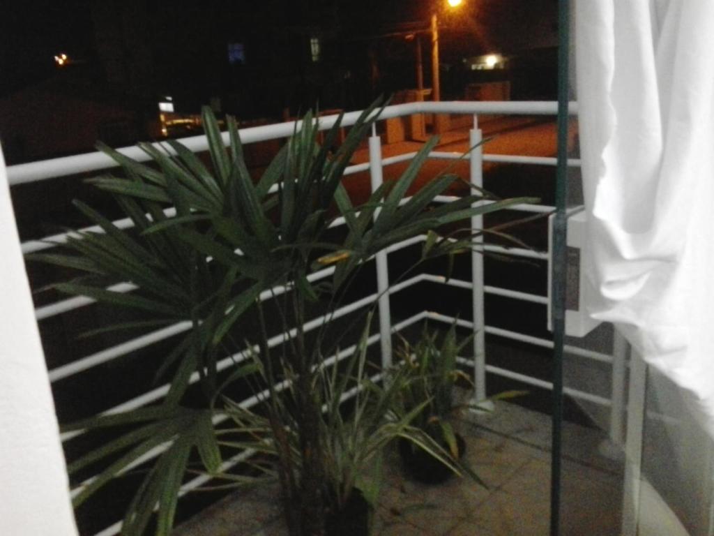  Alugo Apartamento em Palhoça