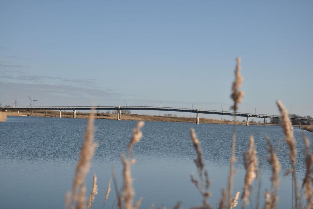 un ponte su un corpo d'acqua con erba alta di Ferienwohnung Nordsee-Feeling a Wangerland