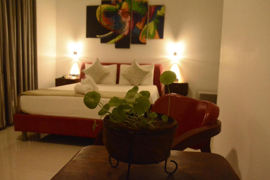 Vimanra Udawalawa - 1