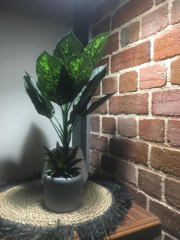 Executive Villa, private 2 bedroom in ideal location - Villa De Dos Dormitorios